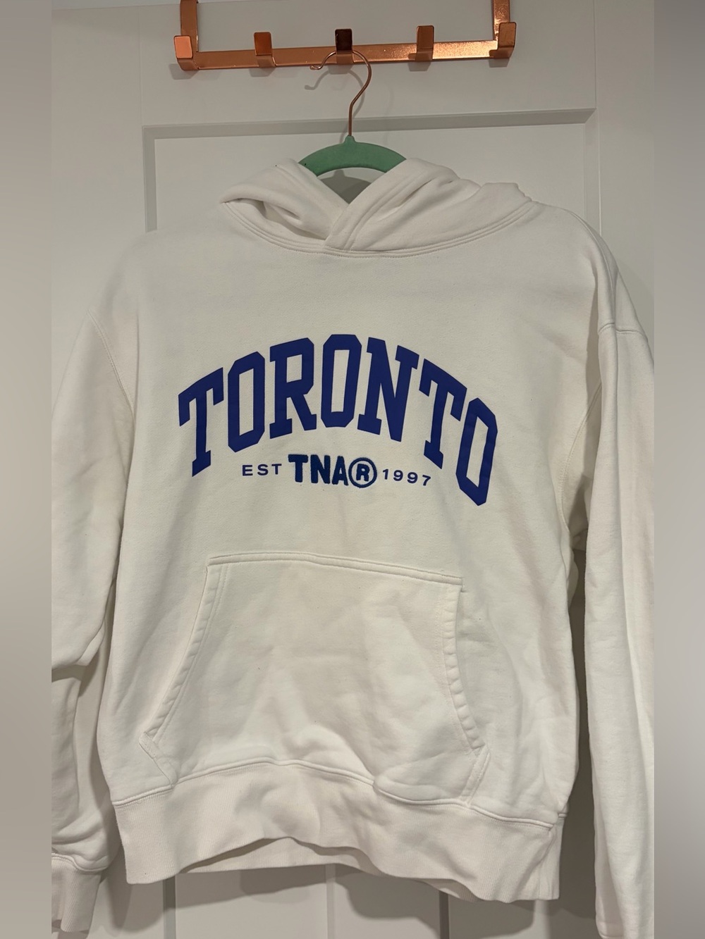 Aritzia TNA Toronto Cozy Fleece Hoodie 💙🤍